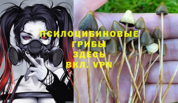 амф Арсеньев